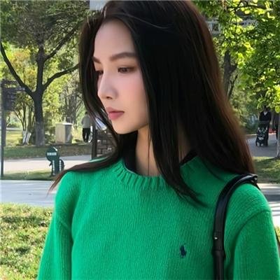 鸽之翼